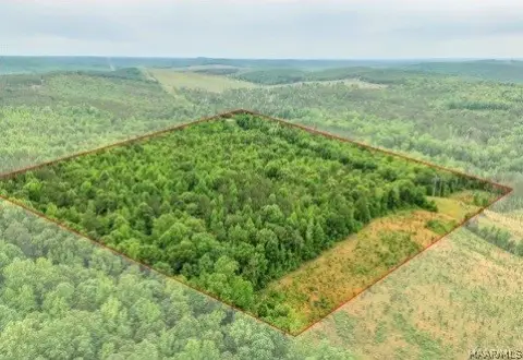 29-Acre Hunting Land