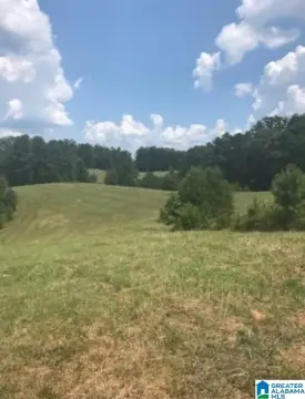 Hunting and Pasture Land with Creek