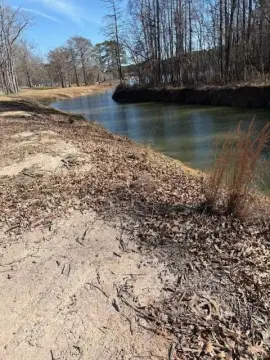 Waterfront Lot on Toledo Bend