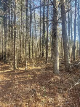 Sanford NC Vacant Land