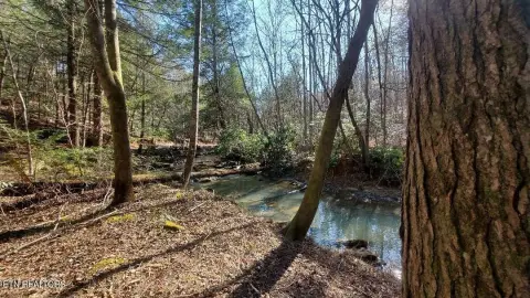 Unrestricted Land in Robbins, TN