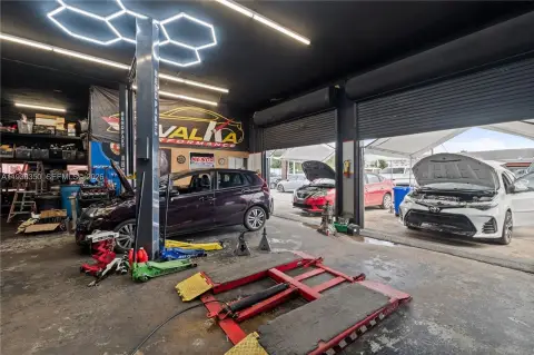 Established Car Dealership Business