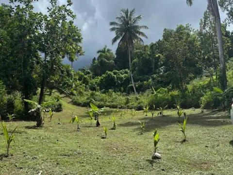 Corozal Land Ideal Development