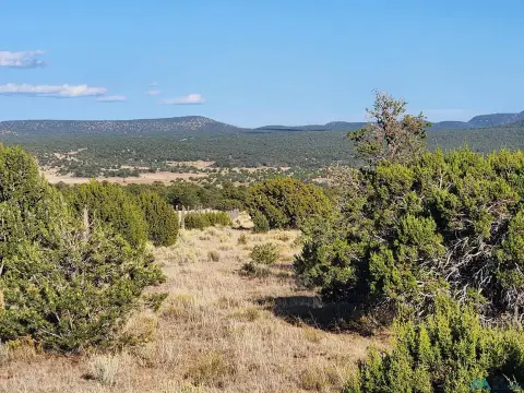 Unrestricted Recreation Land Parcel