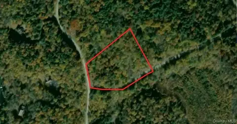 5.50 Acres Wooded Land