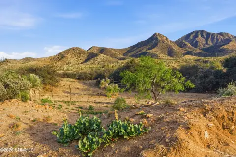 20 Acres Fenced Land