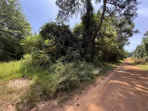 Wooded Hunting Land Tract