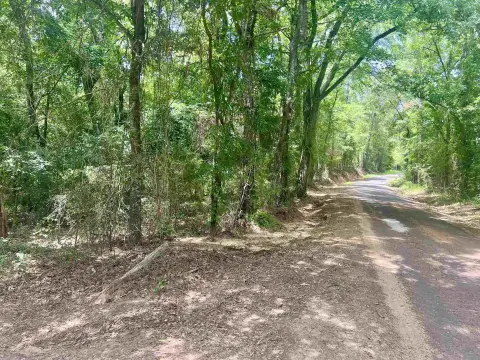 Wooded Hunting Land Tract