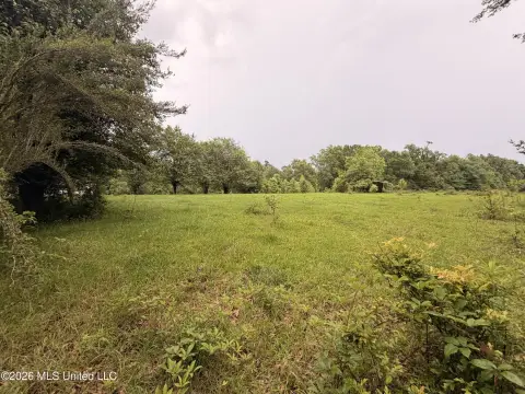 Land with Pond in Roxie