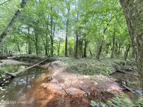 Secluded Land in Summit, MS