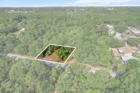 Vacant Land in Crystal River