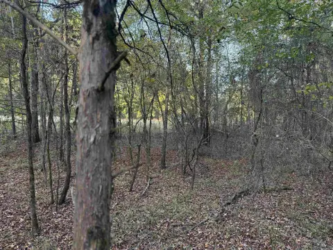 Residential Lot in Bald Knob