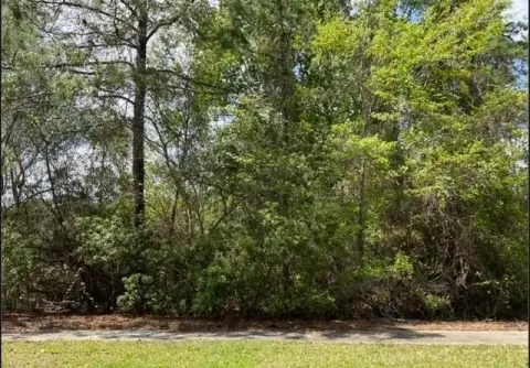 Buildable Lot in Gated Community