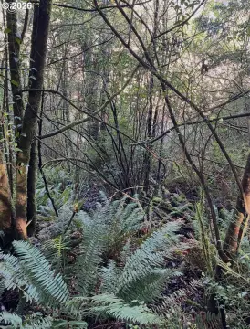 Coquille Land For Sale