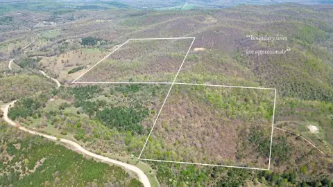 Hunting and Recreation Land