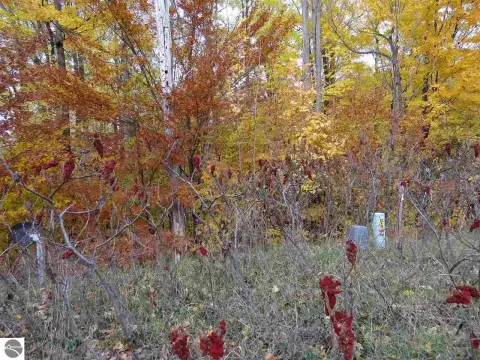 Residential Land in Kingsley, MI
