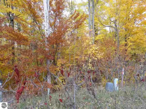 Residential Land in Kingsley, MI