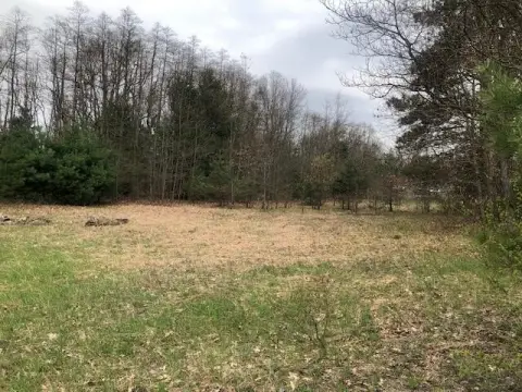 Muskegon Land Opportunity