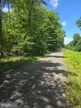 Wooded Land Parcel in Waldorf