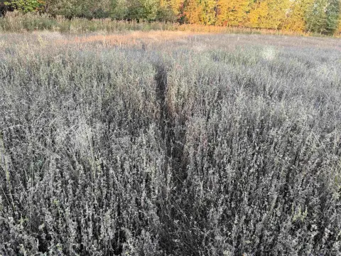 Aniwa Land for Building or Recreation