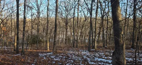 Recreational Hunting Land Tract
