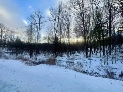 Land Parcel in Laurens, NY
