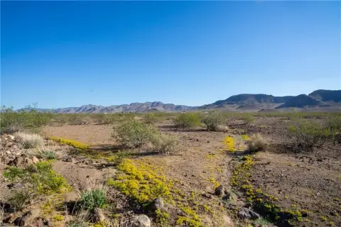Golden Valley Land For Sale