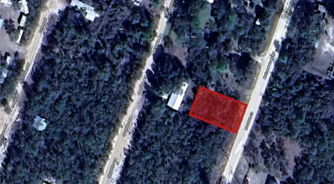 Vacant Land Near Ocala Forest
