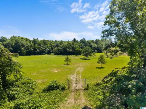 Creekfront Land with Buildable Homesite