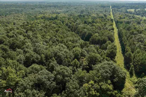 Wooded Agricultural Land