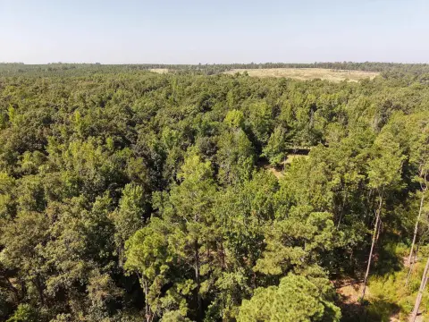 Managed Hunting Land