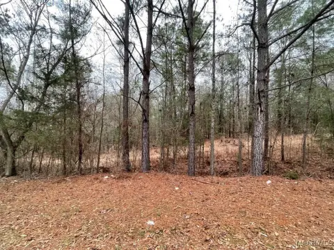 Residential Building Lot in Wetumpka