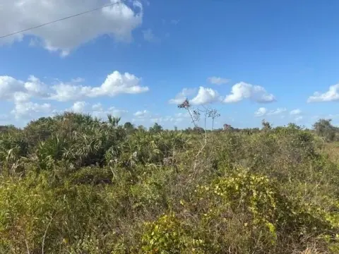 Okeechobee Land For Sale