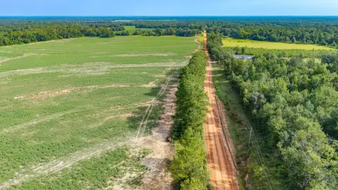 Cultivated Cropland with Road Access
