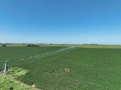 Irrigated Farmland with Pivot