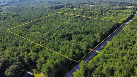 Hunting and Homesite Land Tract