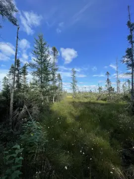 Tomahawk, WI Recreational Hunting Land