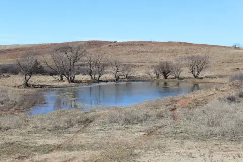 Ranch Land with Live Creek