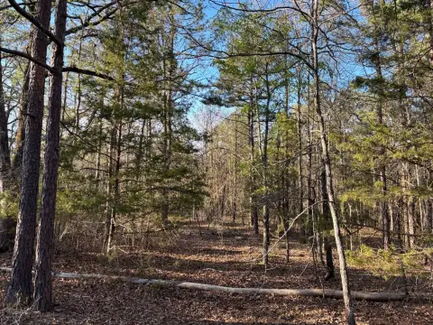 Secluded 36-Acre Land Near Pine Creek