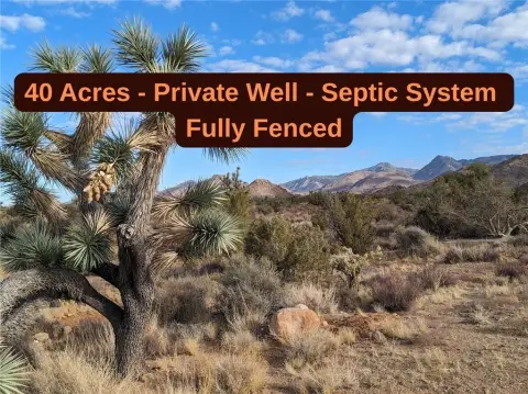 40 Acres in Yucca, AZ