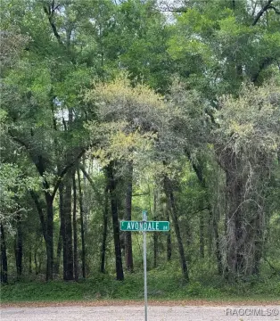 Land in Citrus Springs