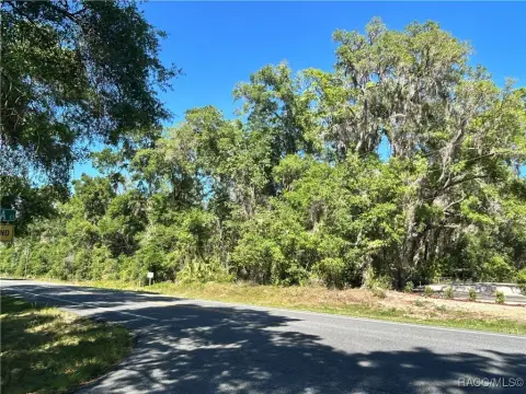 Prime Commercial Land in Floral City