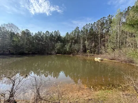 Wooded Recreation Land