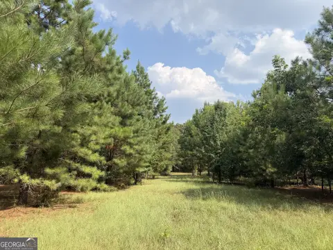Unrestricted 14-Acre Hunting and Homesite