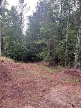 Wooded Land Zoned for Agriculture