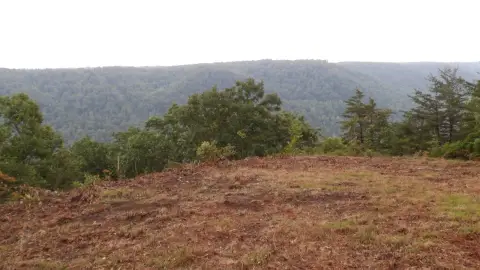 Wilder, TN Vacant Land