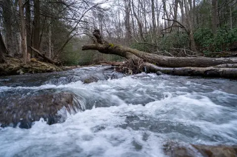 Waterfront Recreational Land