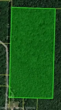 19.44 Acres Near Buckhorn Trail