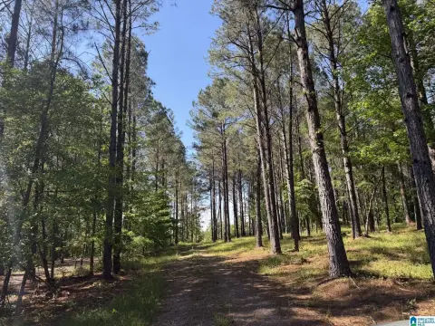 Waterfront Land with Mature Trees