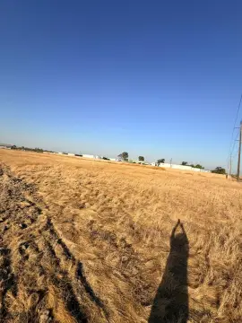 Industrial Land